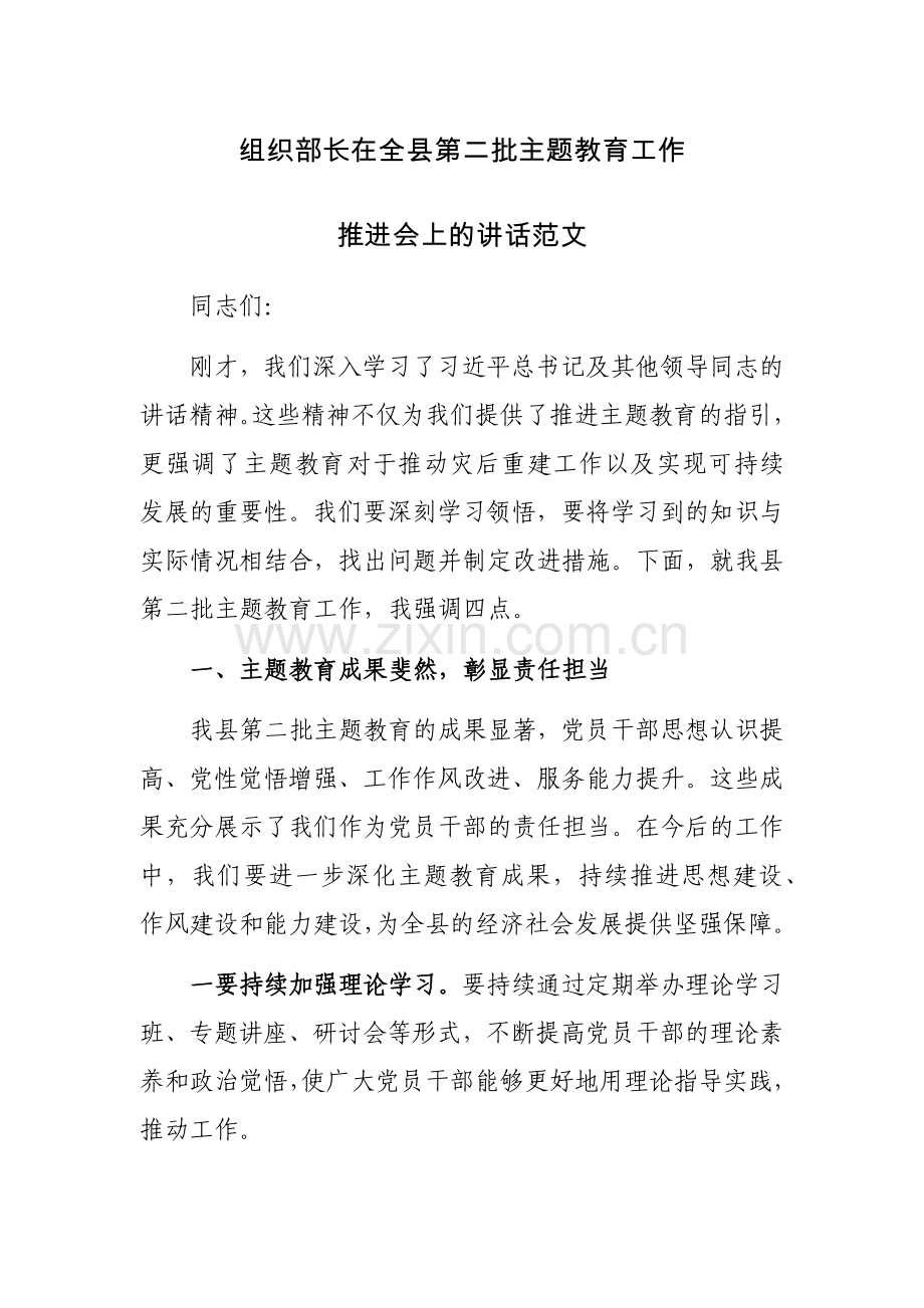 组织部长在全县第二批主题教育工作推进会上的讲话范文.docx_第1页