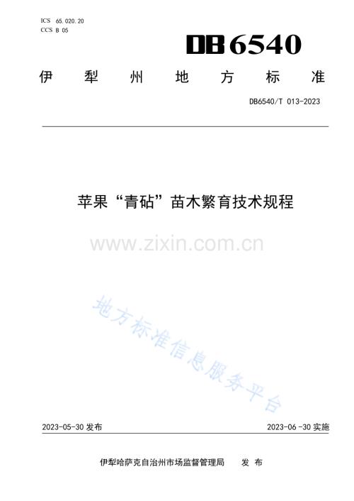 DB6540T013-2023苹果“青砧”苗木繁育技术规程-（高清正版）.pdf