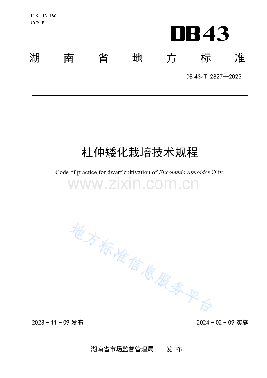 DB43_T 2827-2023杜仲矮化栽培技术规程地方标准.pdf_第1页