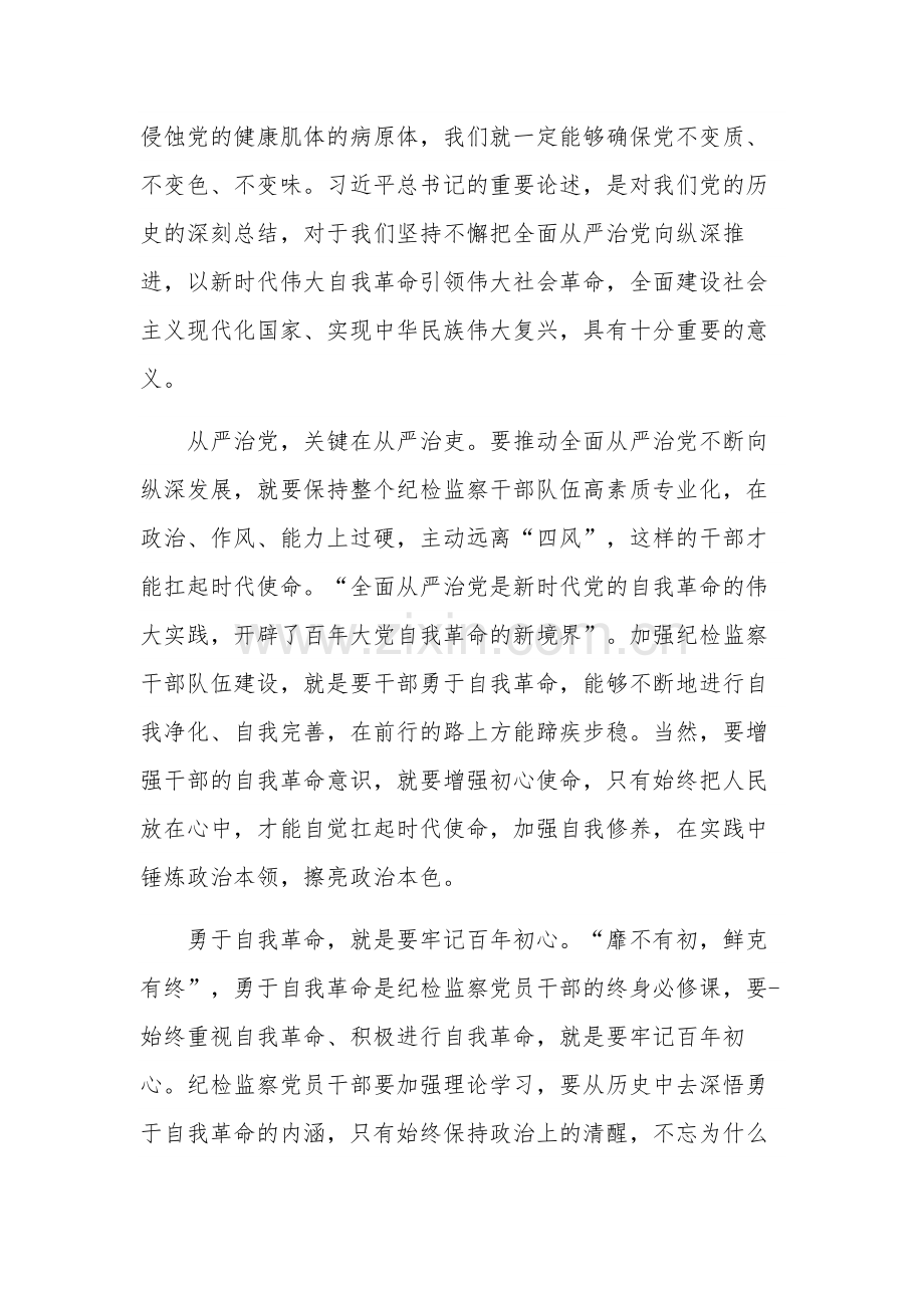 学习党的自我革命心得体会集合篇.docx_第3页