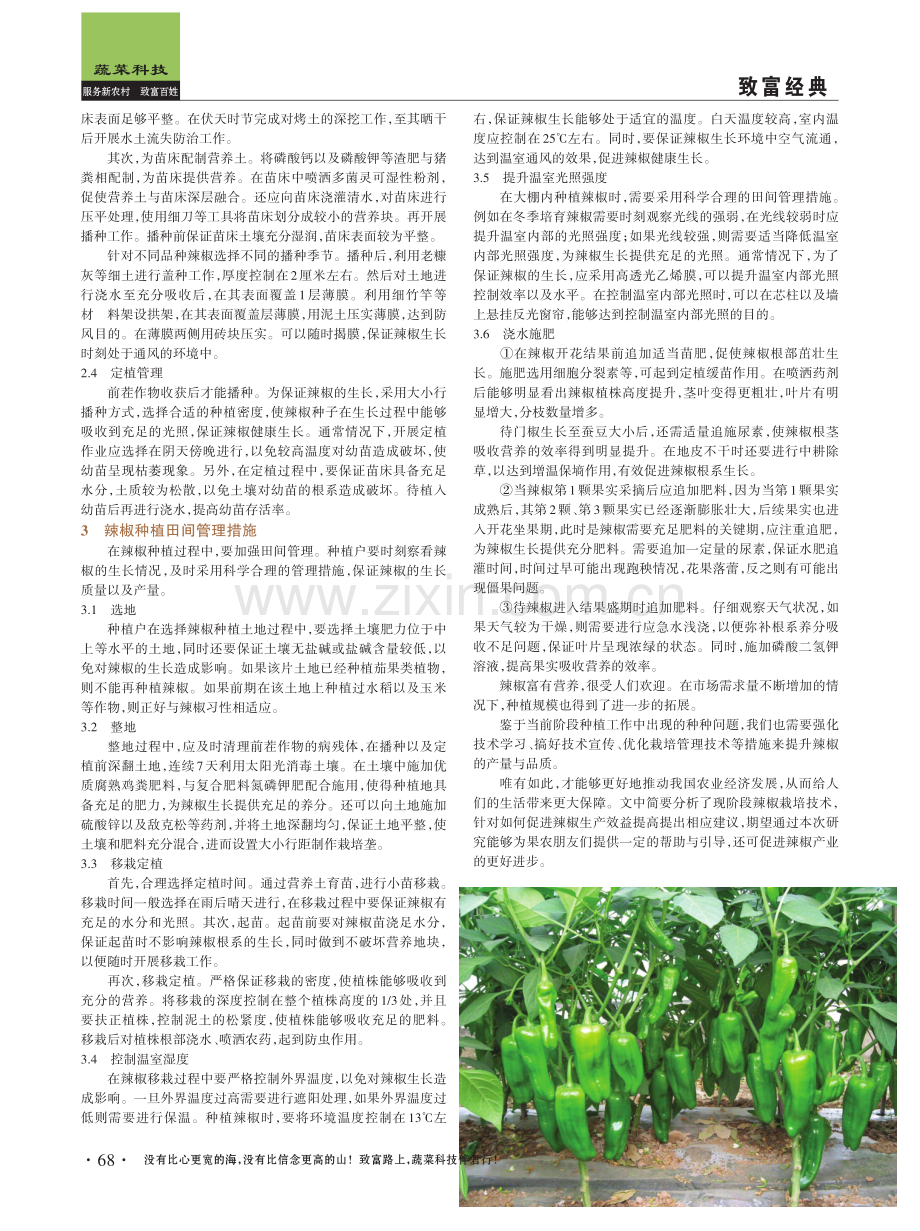 辣椒栽培管理存在问题及解决对策.pdf_第2页