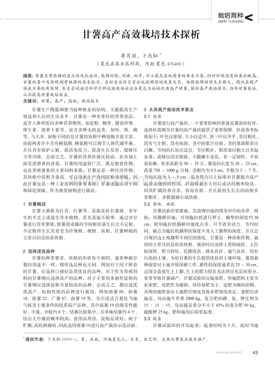 甘薯高产高效栽培技术探析.pdf_第1页