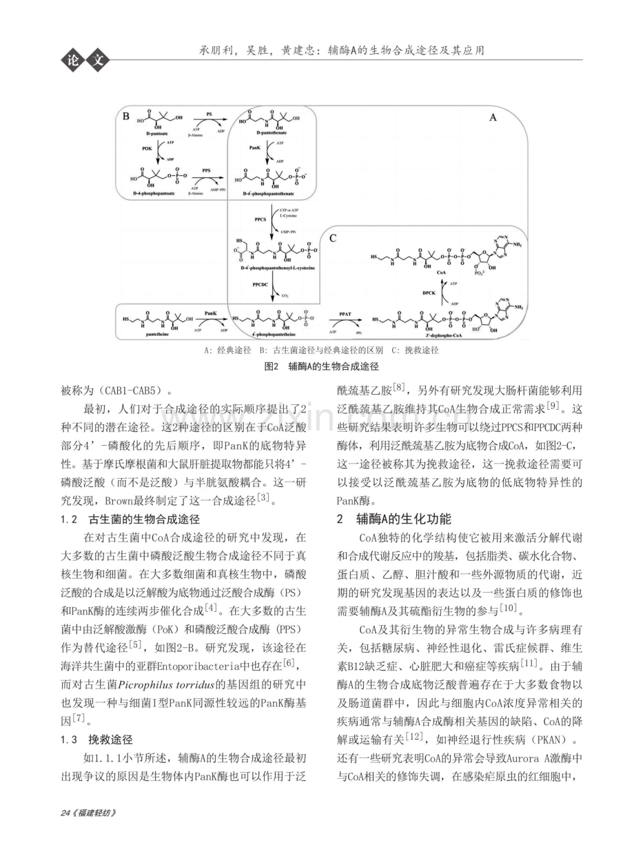 辅酶A的生物合成途径及其应用.pdf_第2页