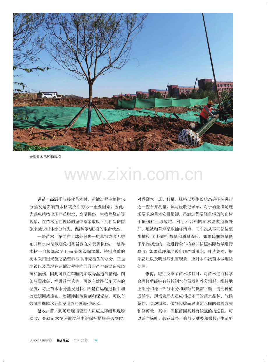 反季节栽植技术在园林绿化工程中的应用探析.pdf_第3页