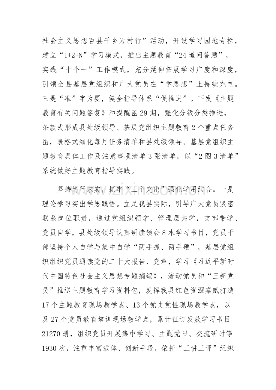 在县主题教育调研督导座谈会上的发言范文稿.docx_第2页