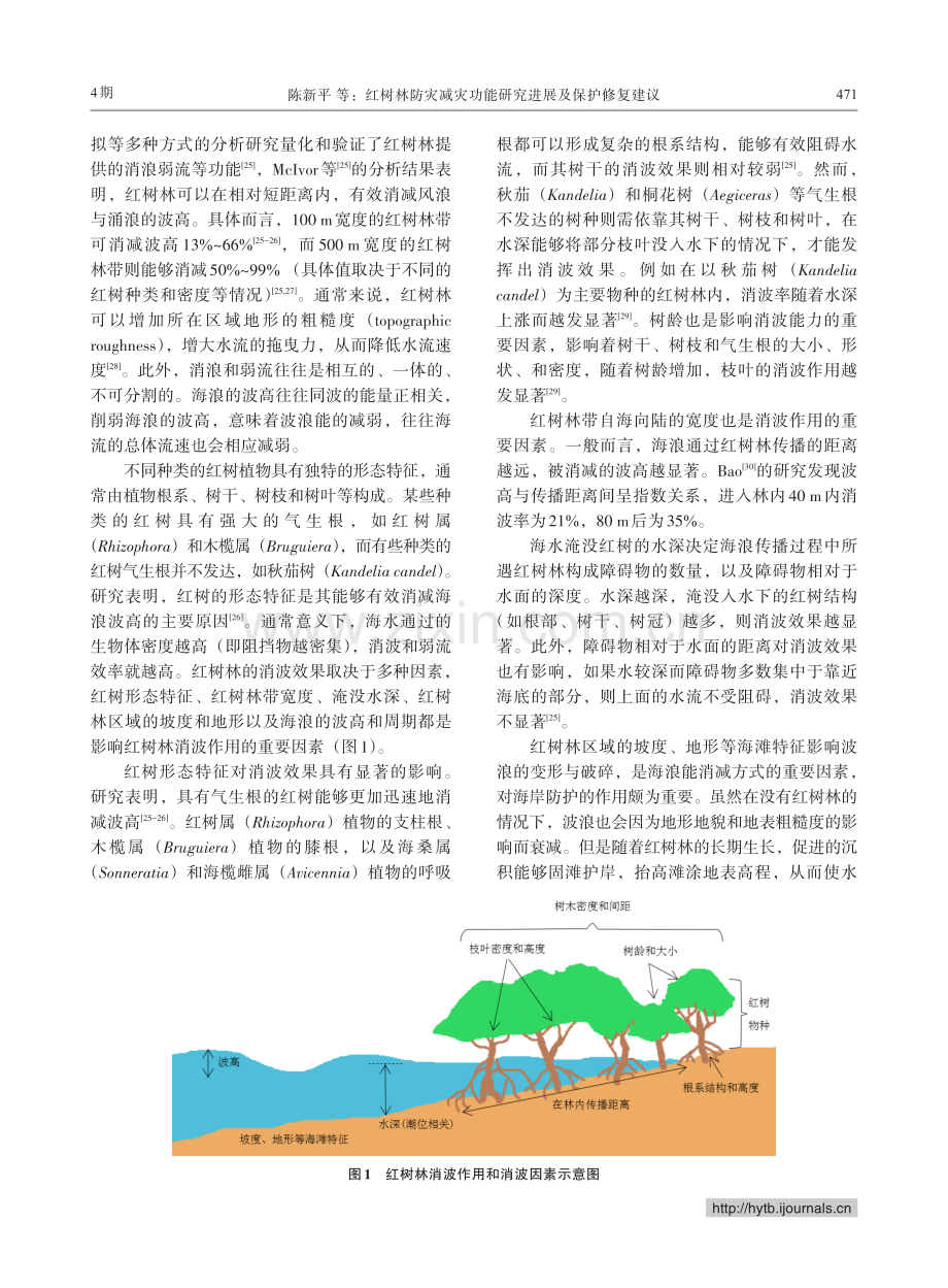 红树林防灾减灾功能研究进展及保护修复建议.pdf_第3页