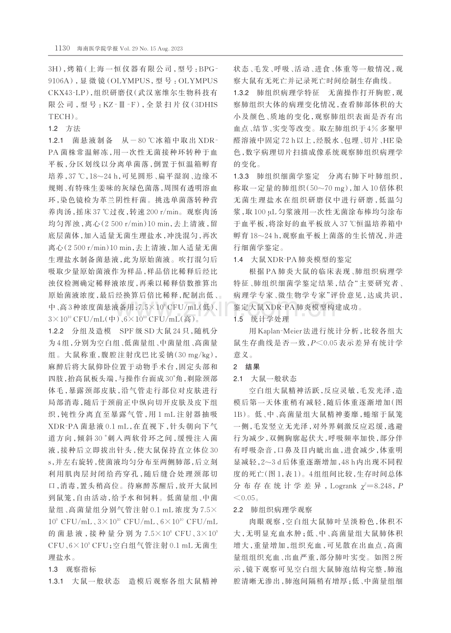 广泛耐药铜绿假单胞菌肺炎大鼠模型的制备.pdf_第3页