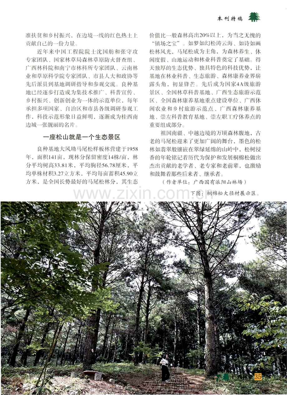 高松出众木 得地派阳山.pdf_第3页