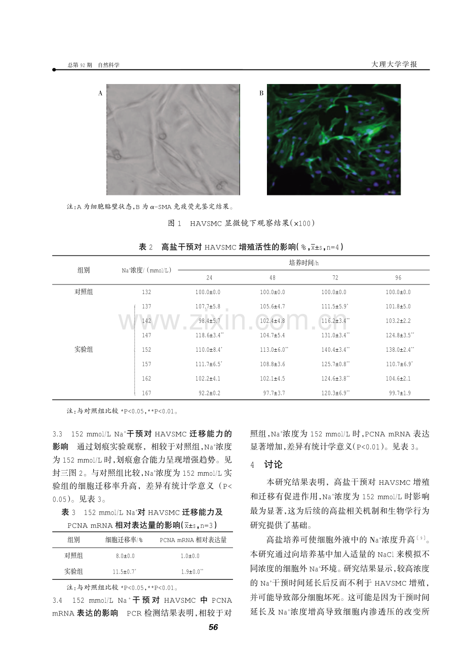 高盐干预对人主动脉血管平滑肌细胞增殖和迁移的影响.pdf_第3页