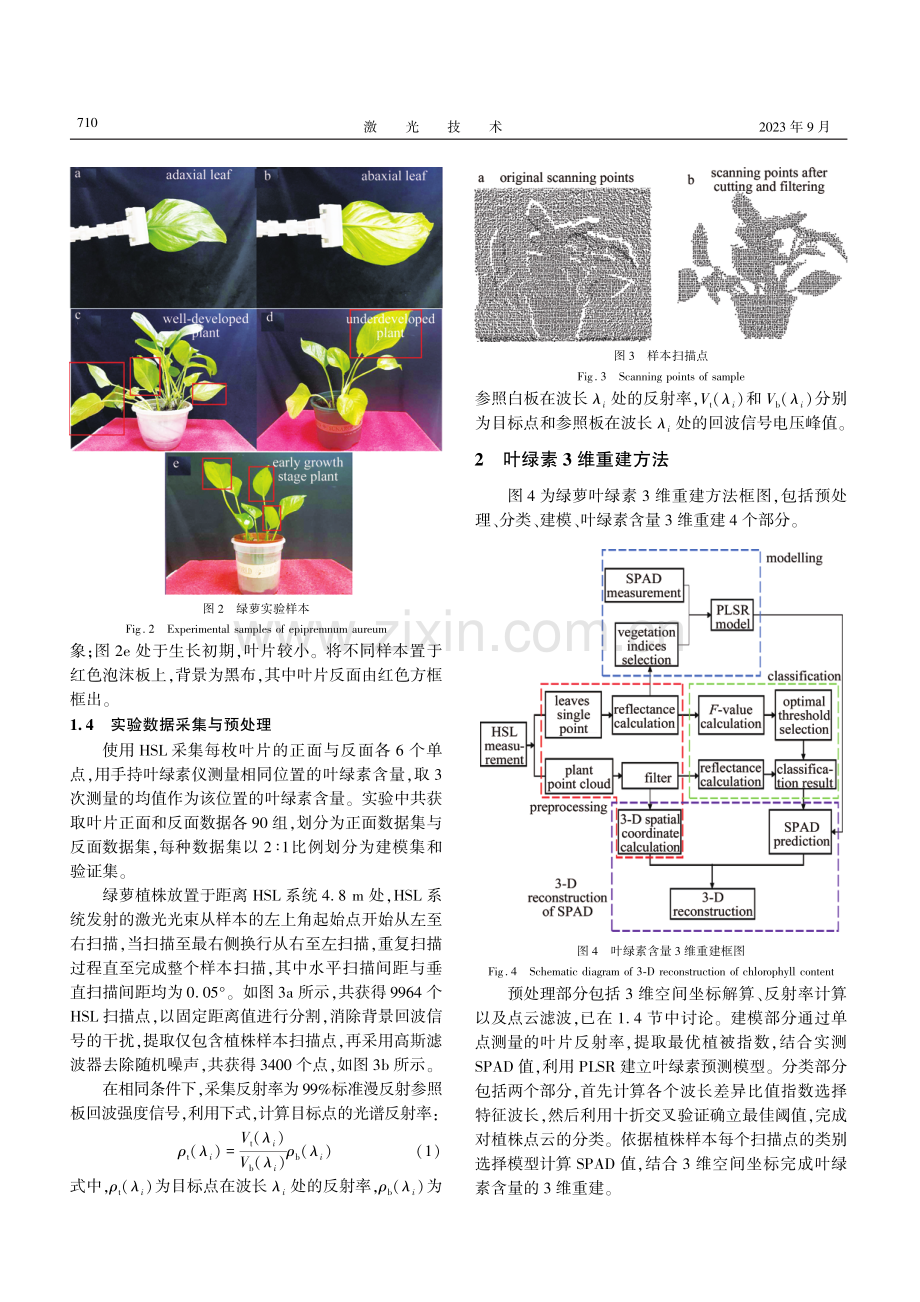 基于高光谱激光雷达的绿萝叶绿素3维重建.pdf_第3页