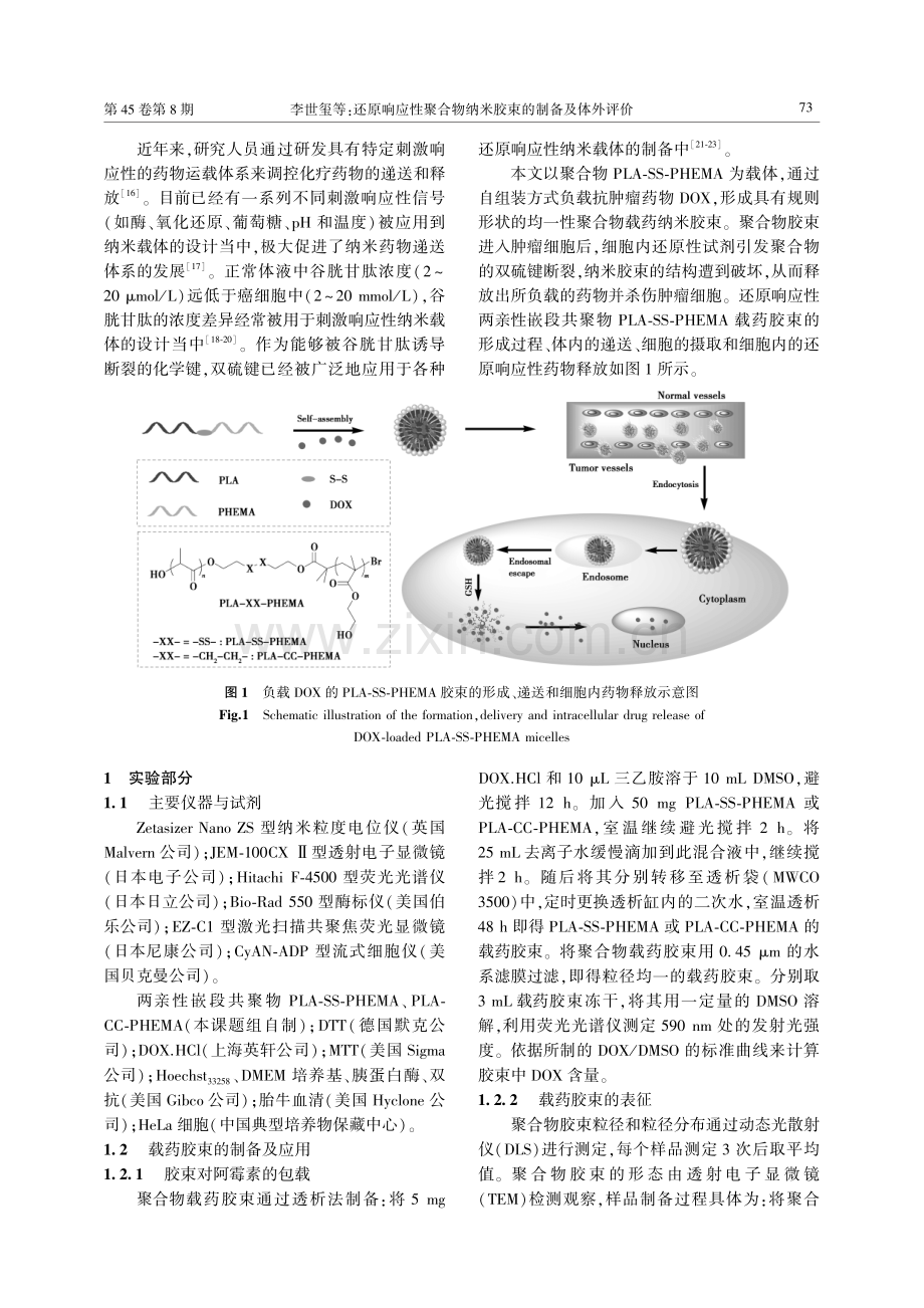 还原响应性聚合物纳米胶束的制备及体外评价.pdf_第2页