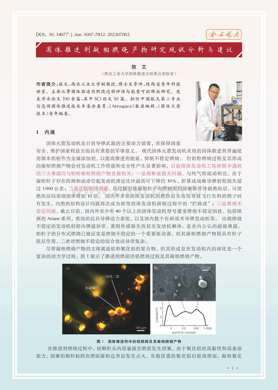 固体推进剂凝相燃烧产物研究现状分析与建议.pdf_第1页