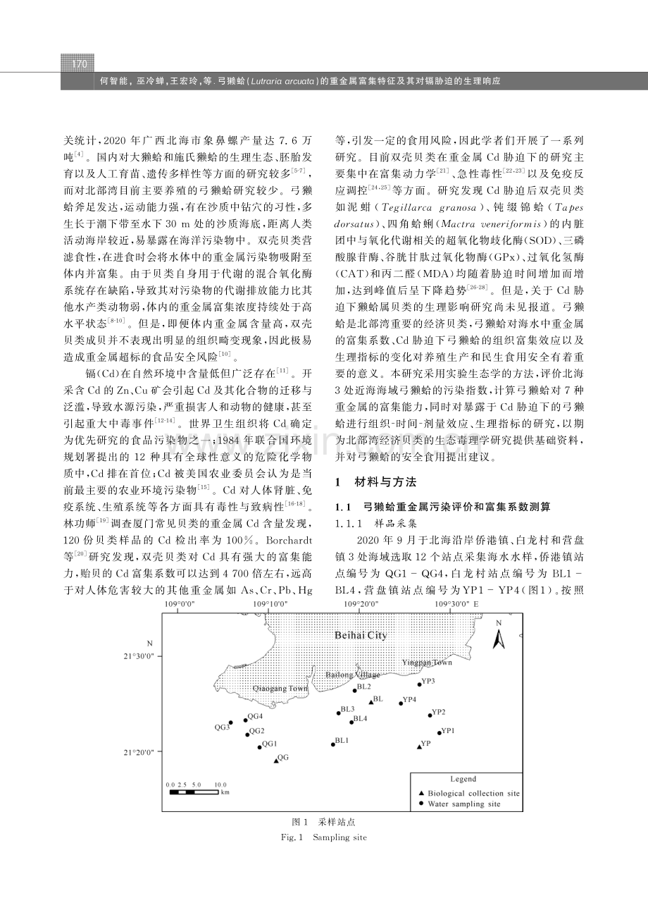 弓獭蛤%28 Lutraria arcuata %29的重金属富集特征及其对镉胁迫的生理响应.pdf_第2页