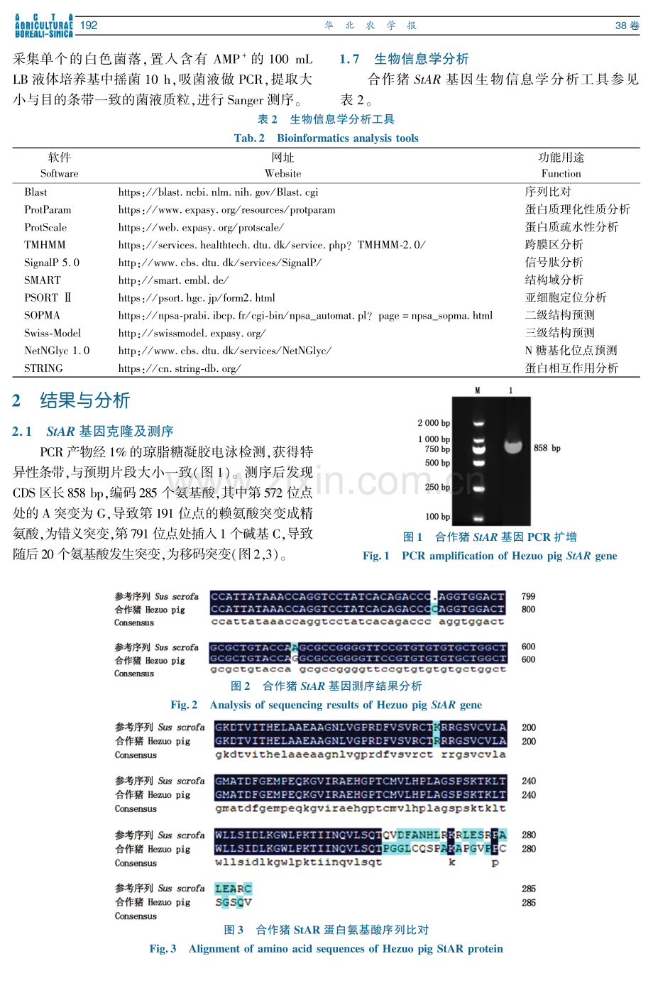 合作猪StAR基因克隆、组织表达及生物信息学分析.pdf_第3页