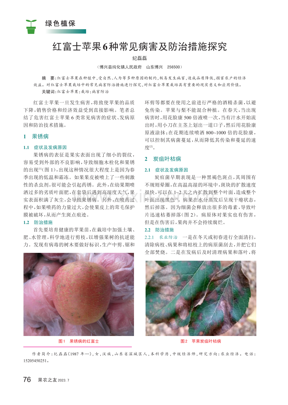 红富士苹果6种常见病害及防治措施探究.pdf_第1页