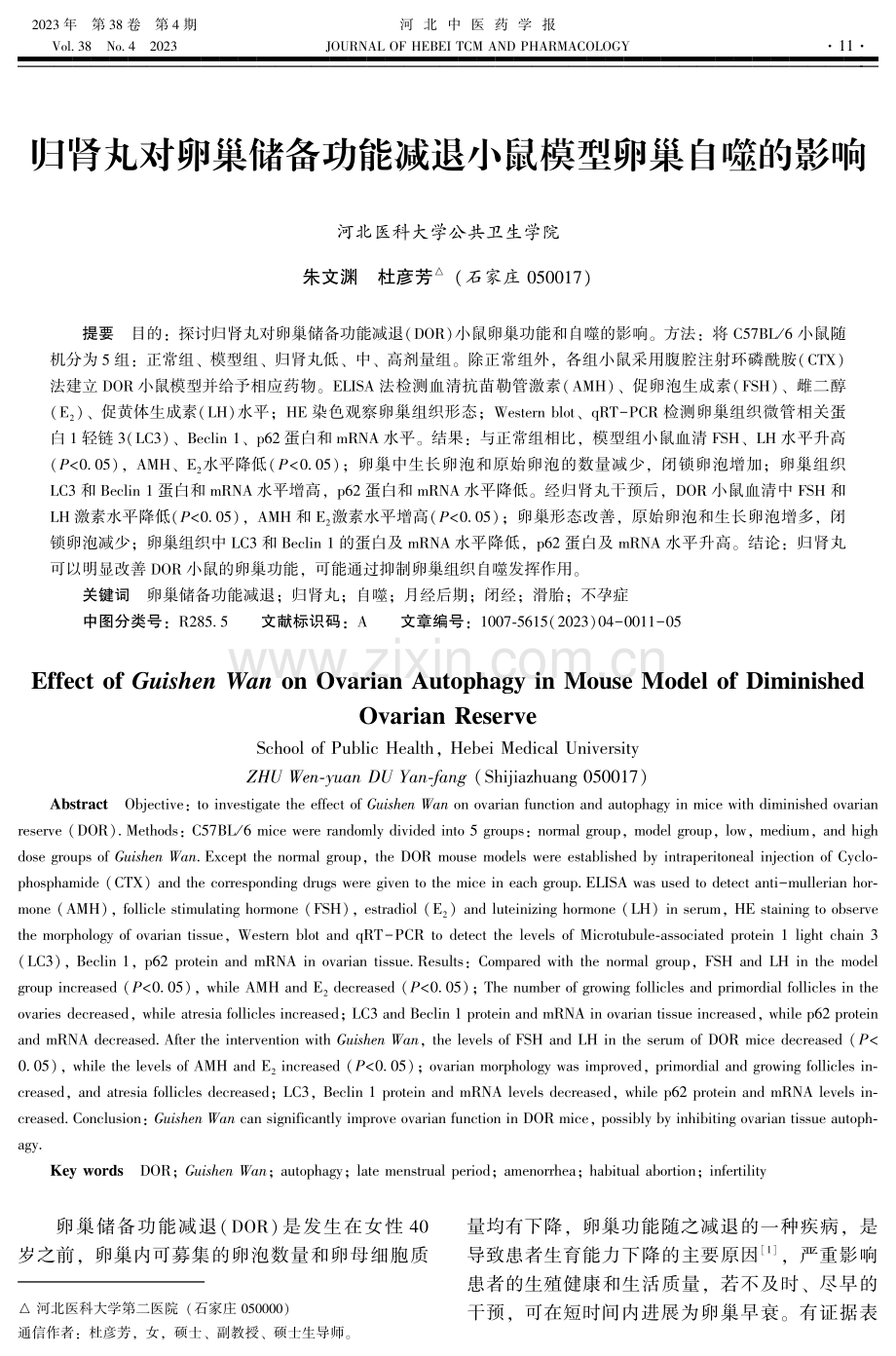 归肾丸对卵巢储备功能减退小鼠模型卵巢自噬的影响.pdf_第1页