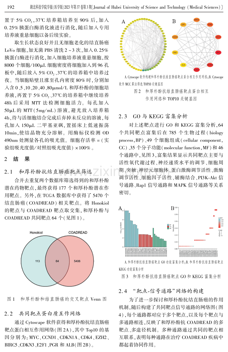 和厚朴酚抗结直肠癌的网络药理学分析及实验验证.pdf_第3页