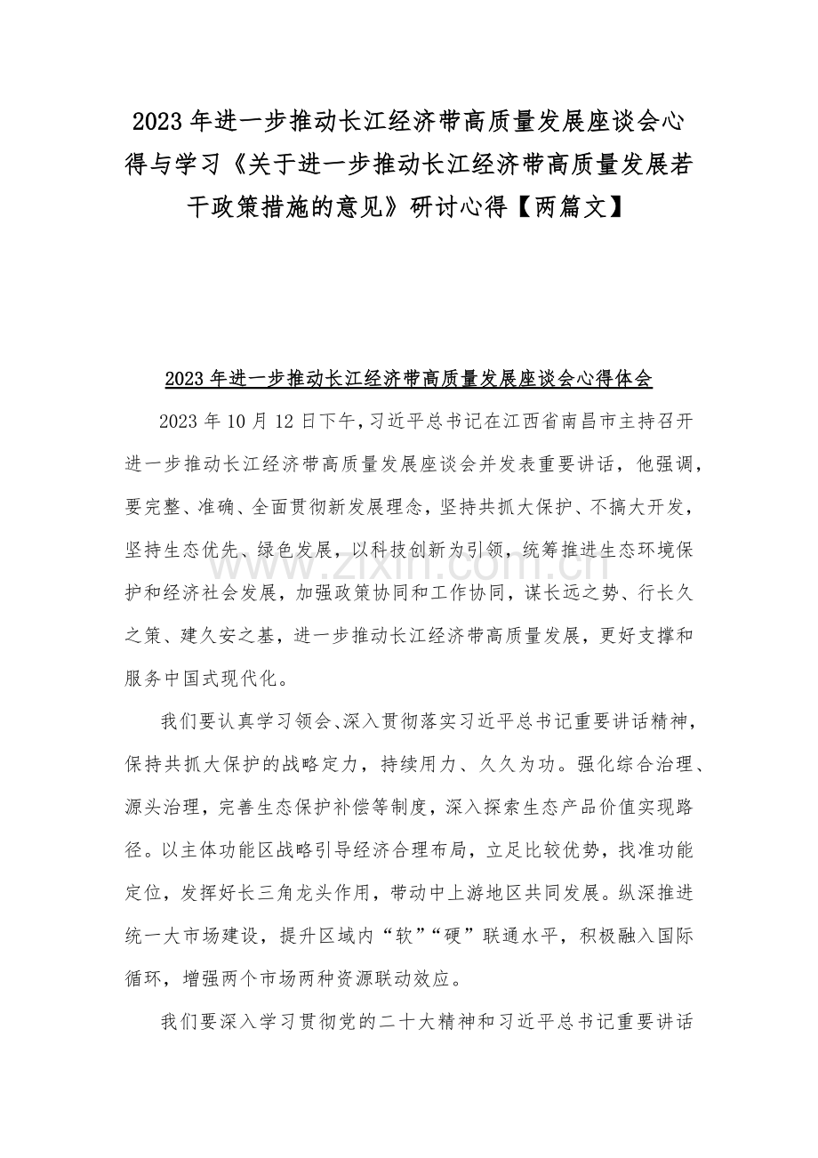 2023年进一步推动长江经济带高质量发展座谈会心得与学习《关于进一步推动长江经济带高质量发展若干政策措施的意见》研讨心得【两篇文】.docx_第1页