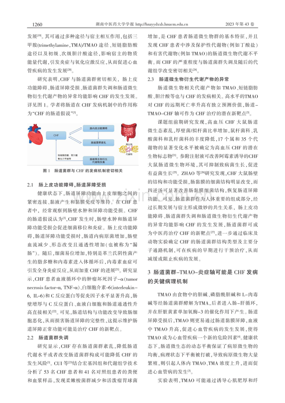 基于益气养阴法探讨参麦注射液调控肠道菌群-TMAO-炎症轴防治慢性心力衰竭的思路与策略.pdf_第3页