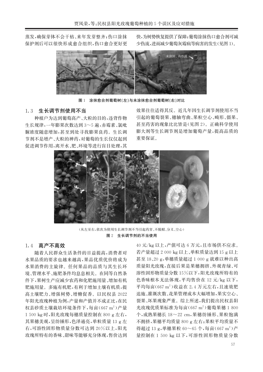 民权县阳光玫瑰葡萄种植的5个误区及应对措施.pdf_第2页