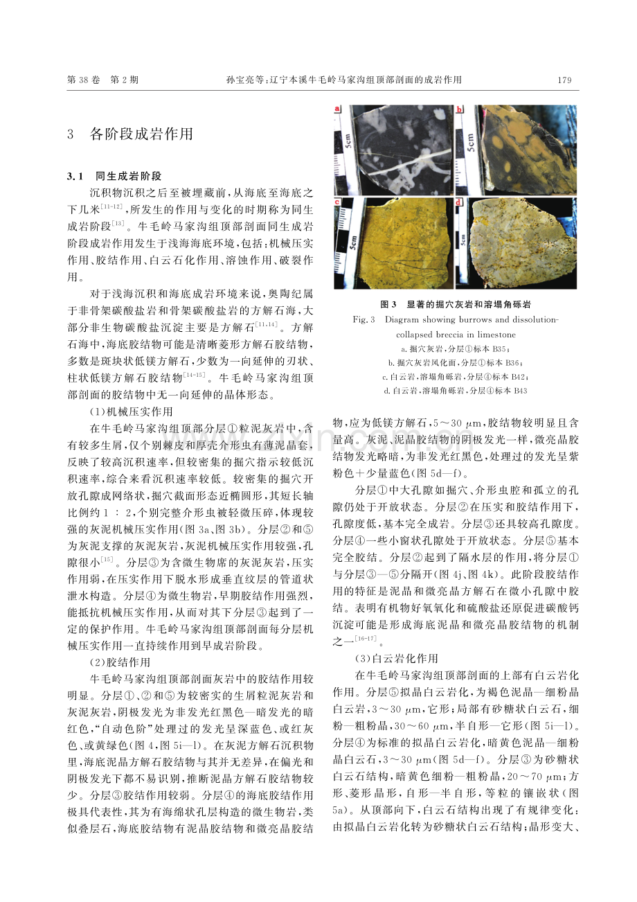 辽宁本溪牛毛岭马家沟组顶部剖面的成岩作用.pdf_第3页