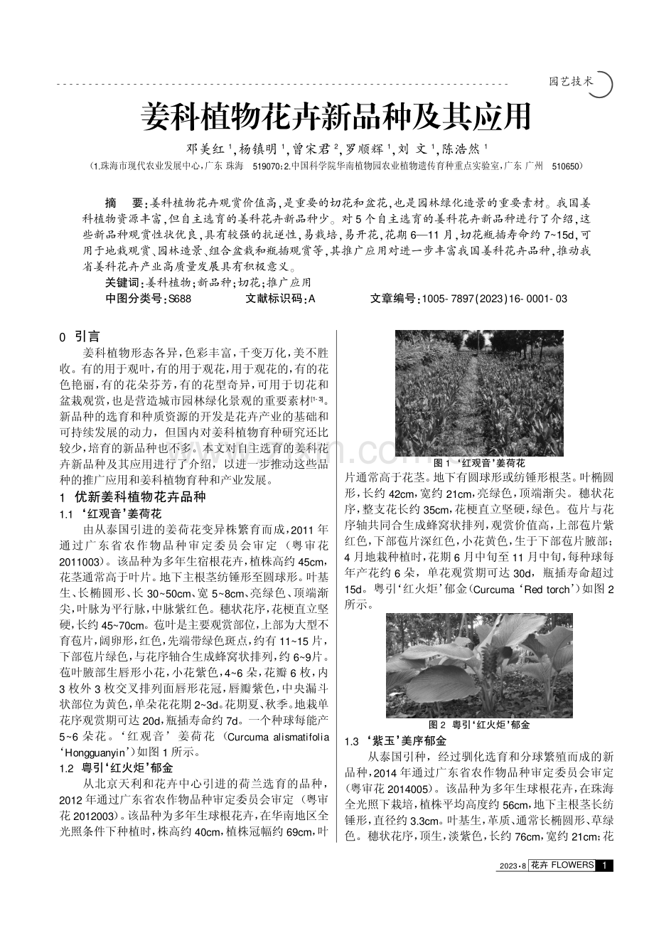 姜科植物花卉新品种及其应用.pdf_第1页