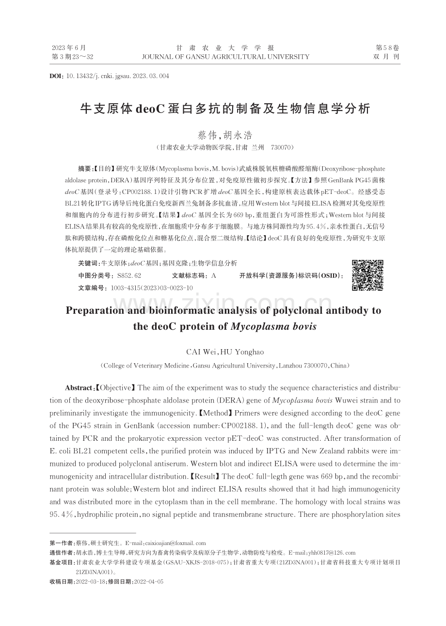 牛支原体deoC蛋白多抗的制备及生物信息学分析.pdf_第1页