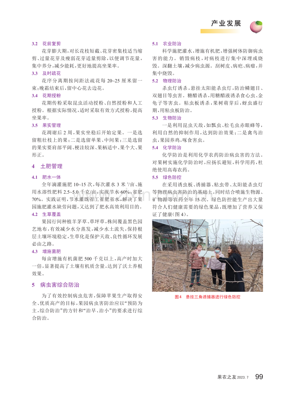 龙口市苹果标准化生产技术探析.pdf_第3页