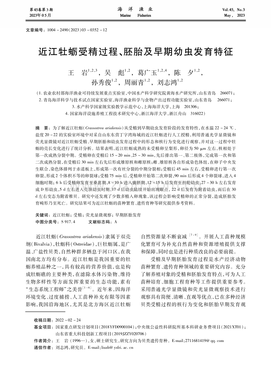 近江牡蛎受精过程、胚胎及早期幼虫发育特征.pdf_第1页