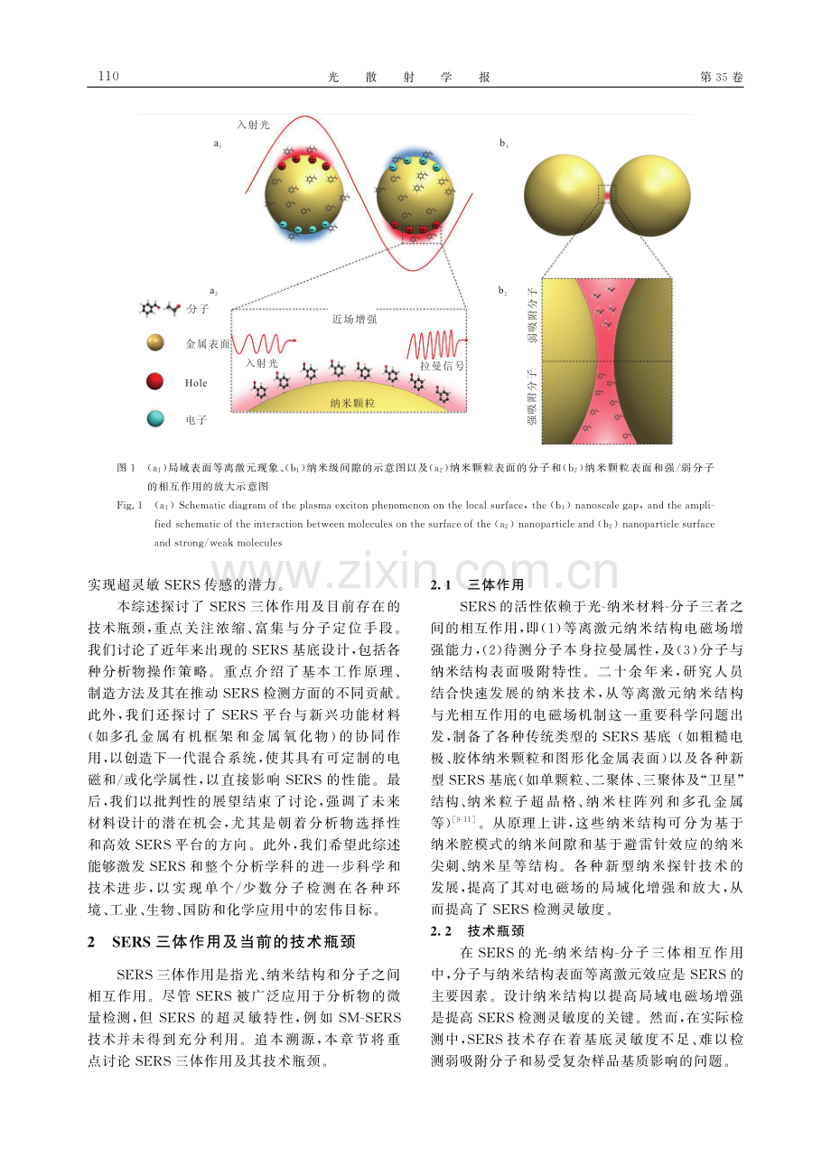 浓缩、富集与分子定位型表面增强拉曼光谱及应用.pdf_第3页