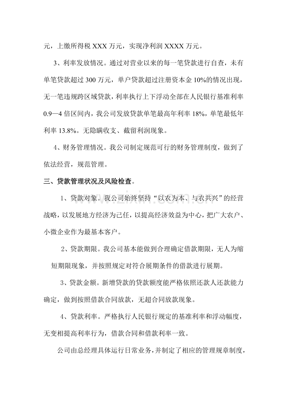 XXXX小额贷款公司自查报告.doc_第2页