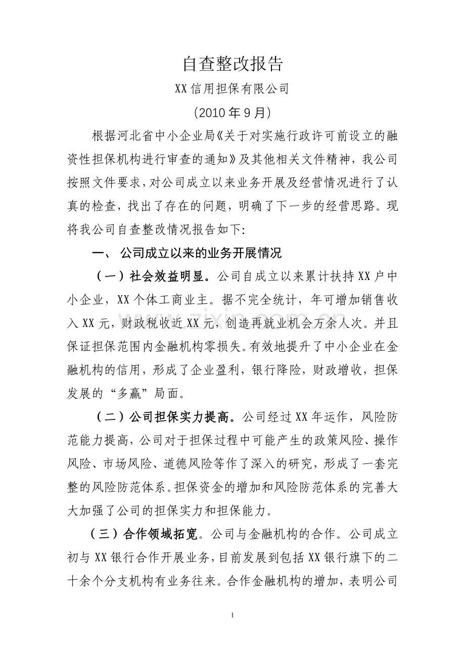 担保公司自查整改报告.doc_第1页