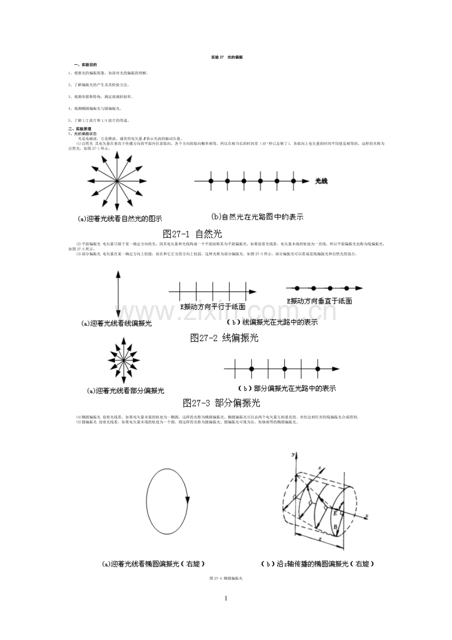 大学物理实验--光的偏振.doc_第1页