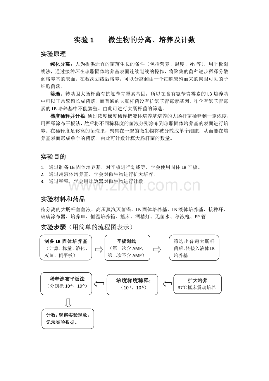 大肠杆菌微生物培养实验报告及评价标准.docx_第1页