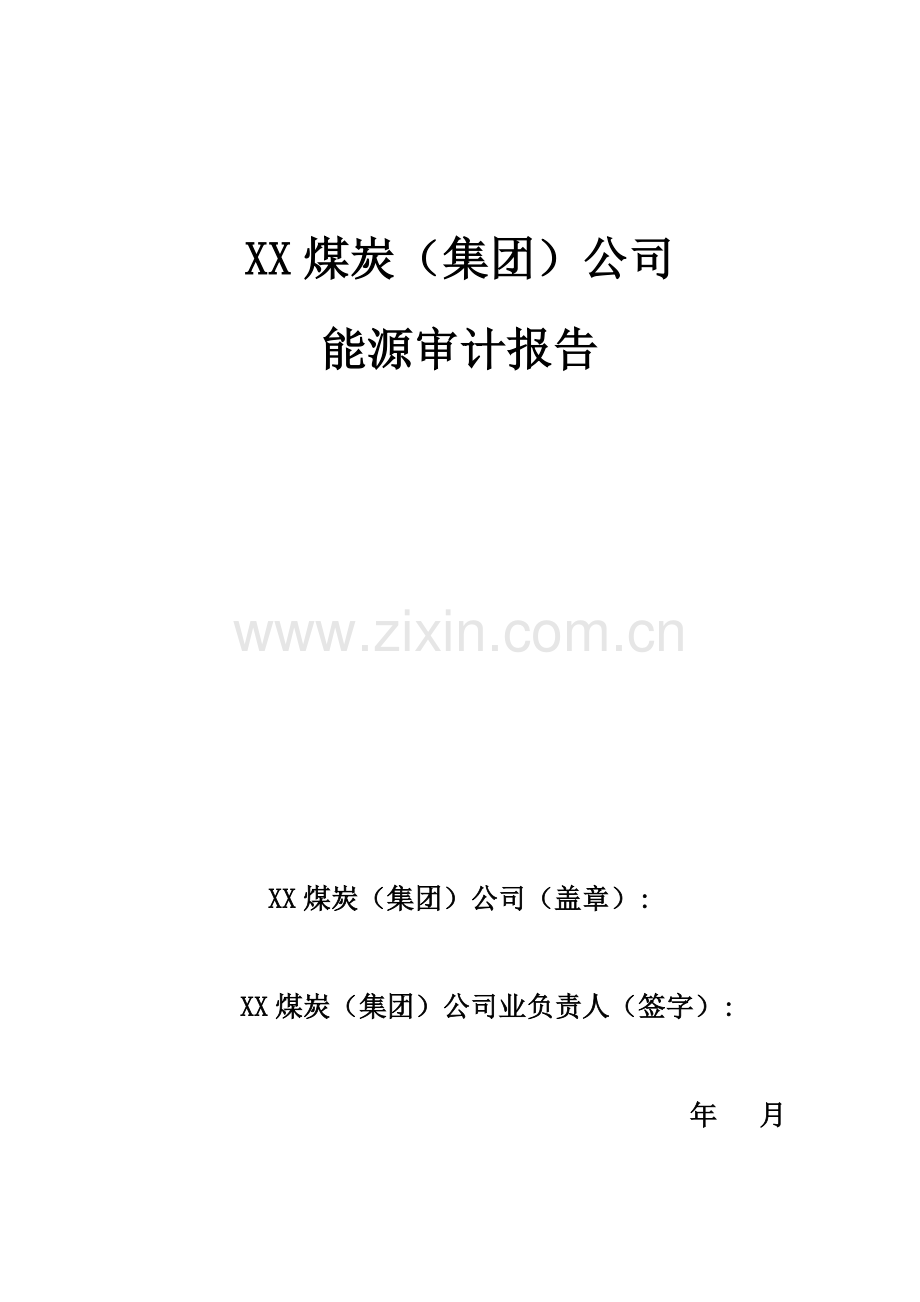 XX集团公司煤炭能源审计报告.doc_第2页