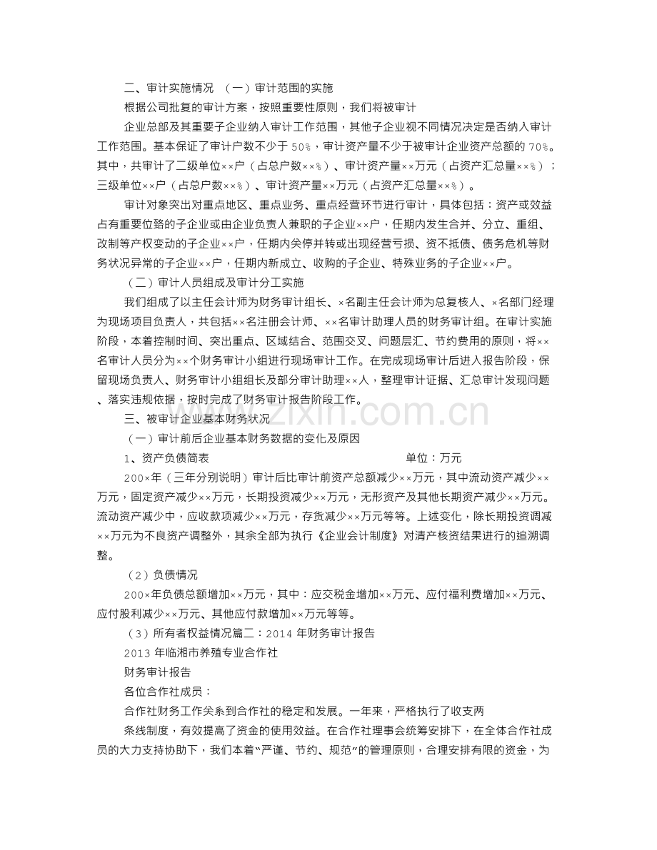 财务审计报告.doc_第2页