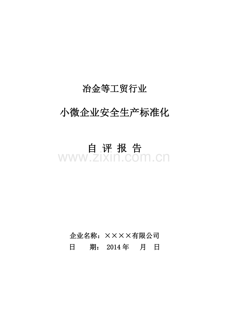 安全生产标准化自评报告(小微企业)DOC.doc_第1页