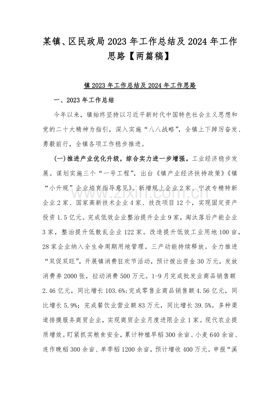 某镇、区民政局2023年工作总结及2024年工作思路【两篇稿】.docx_第1页