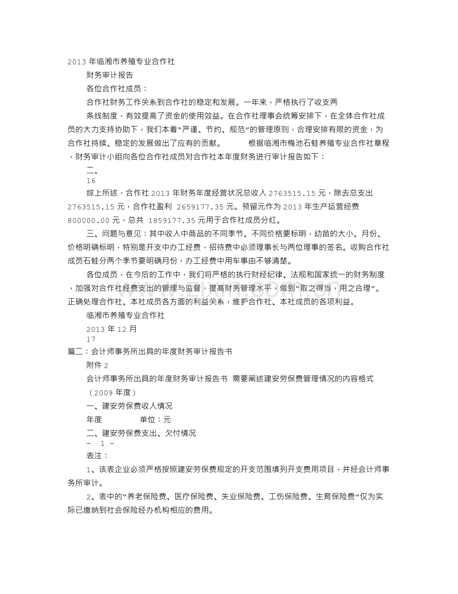 财务年度审计报告.doc_第1页