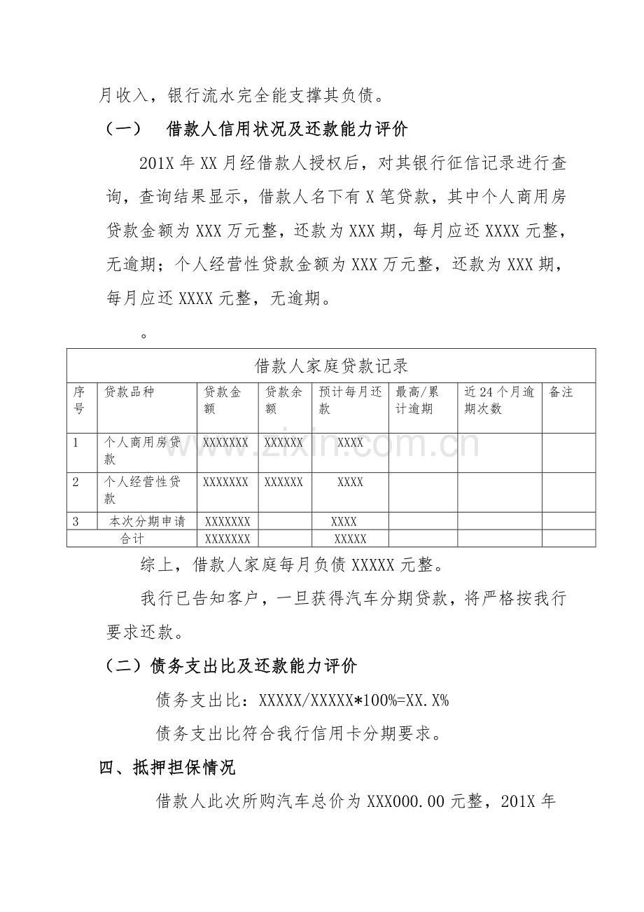 车贷调查报告模板.doc_第3页