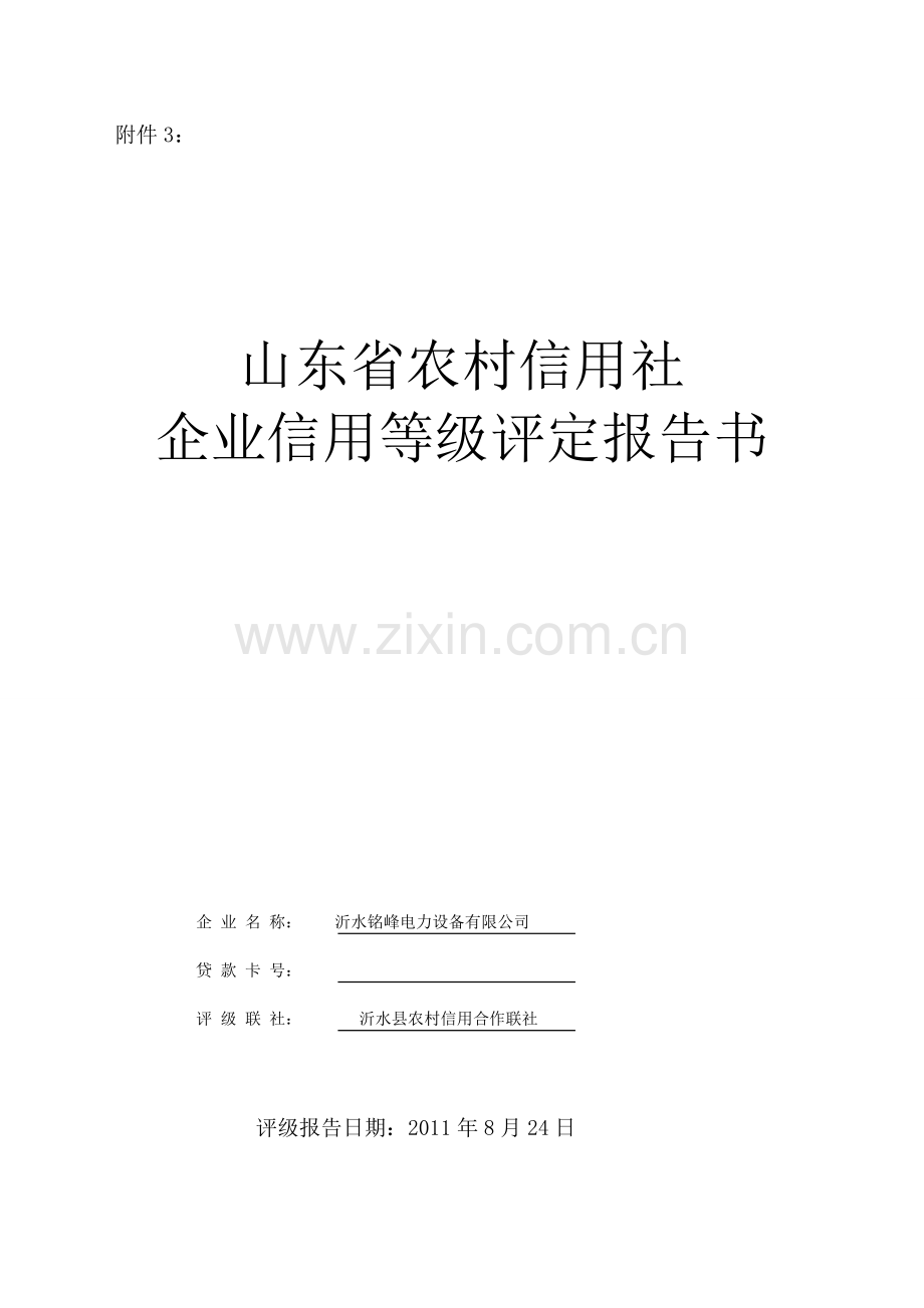 等级评定报告书.doc_第1页