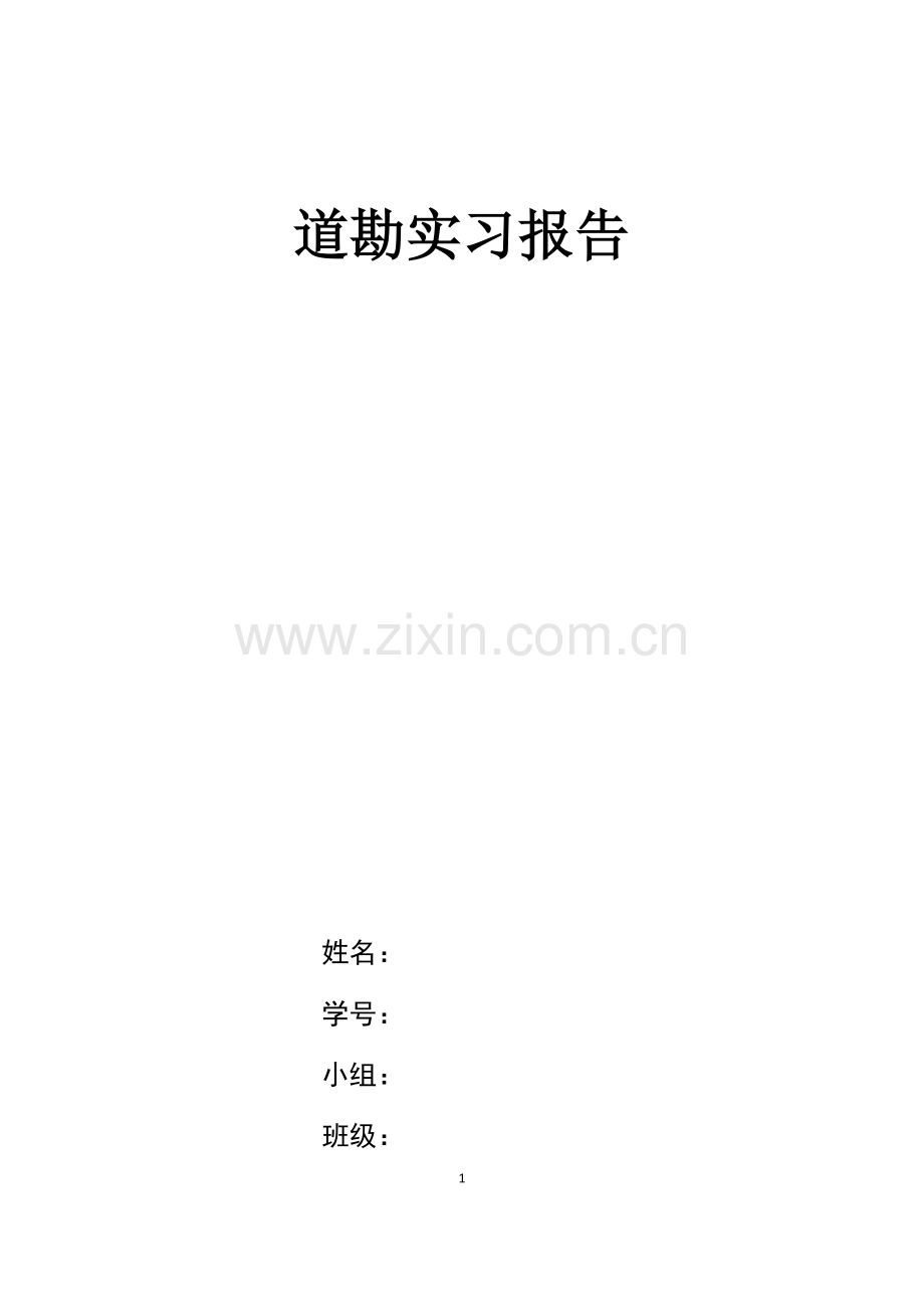 道勘实习报告.docx_第1页