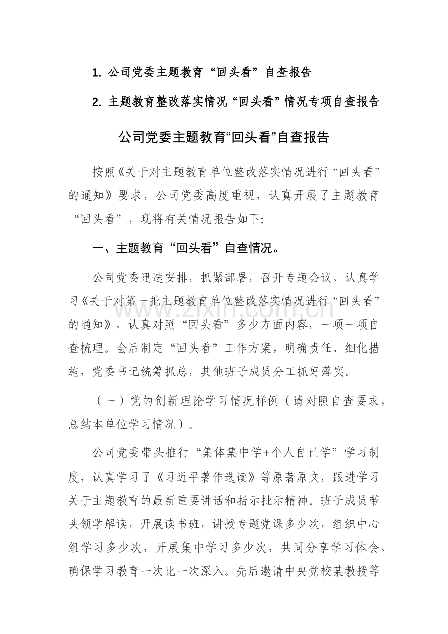 主题教育整改落实情况“回头看”情况专项自查报告范文2篇.docx_第1页