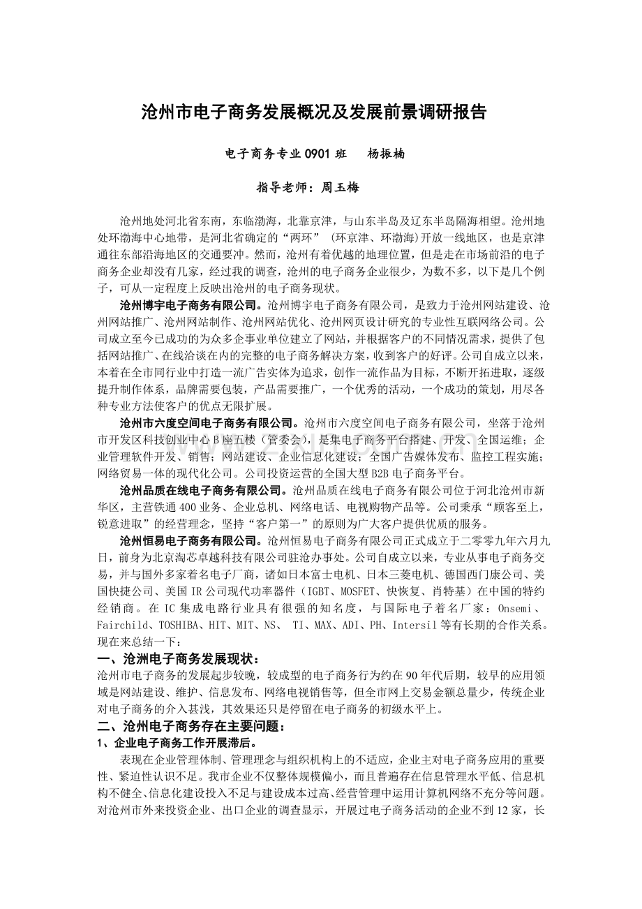 沧州市电子商务发展概况及发展前景调研报告.doc_第2页