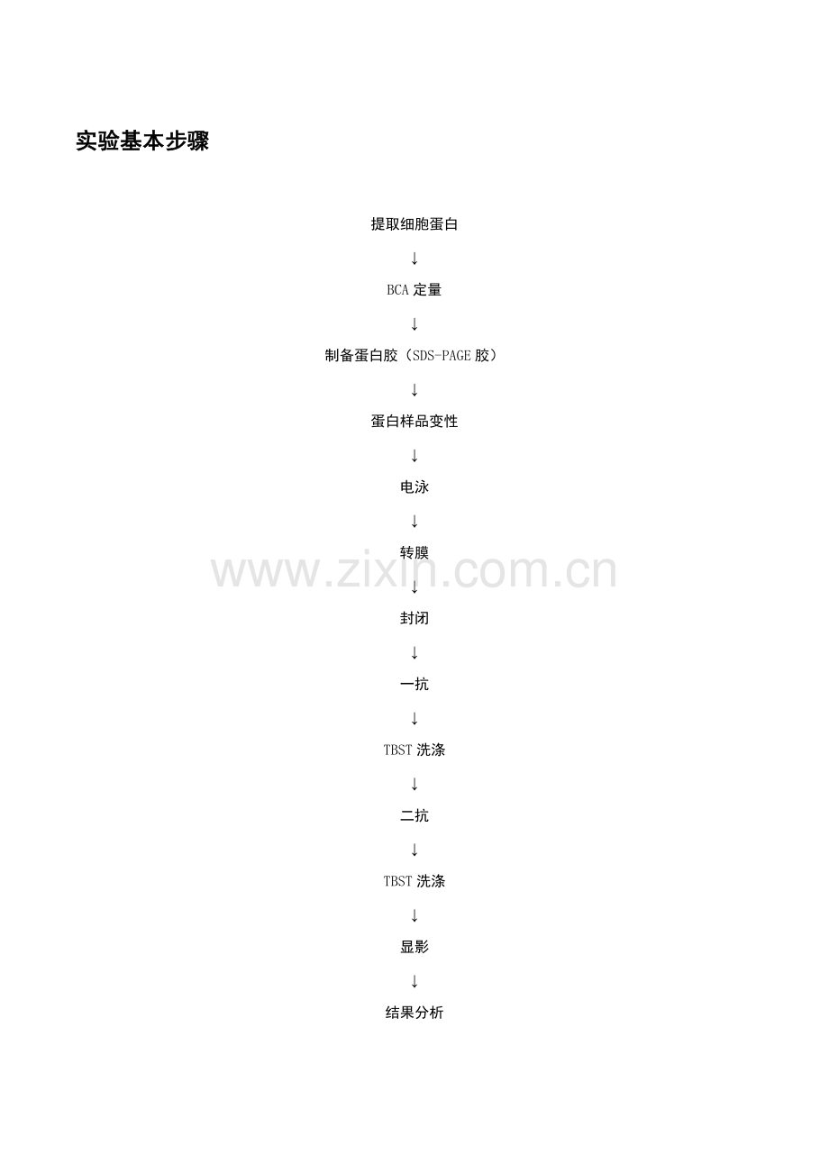 WB实验基本步骤.docx_第1页