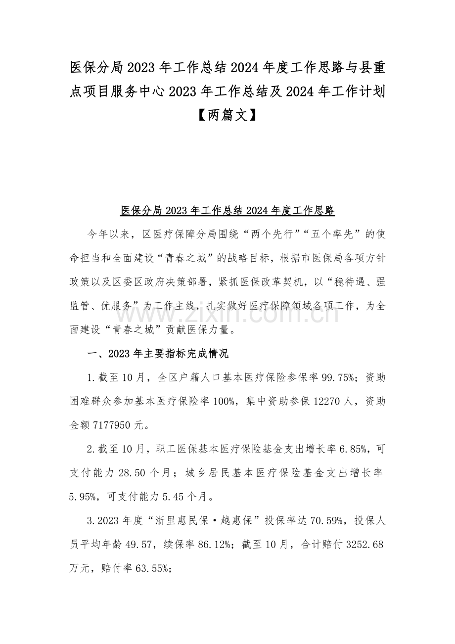 医保分局2023年工作总结2024年度工作思路与县重点项目服务中心2023年工作总结及2024年工作计划【两篇文】.docx_第1页