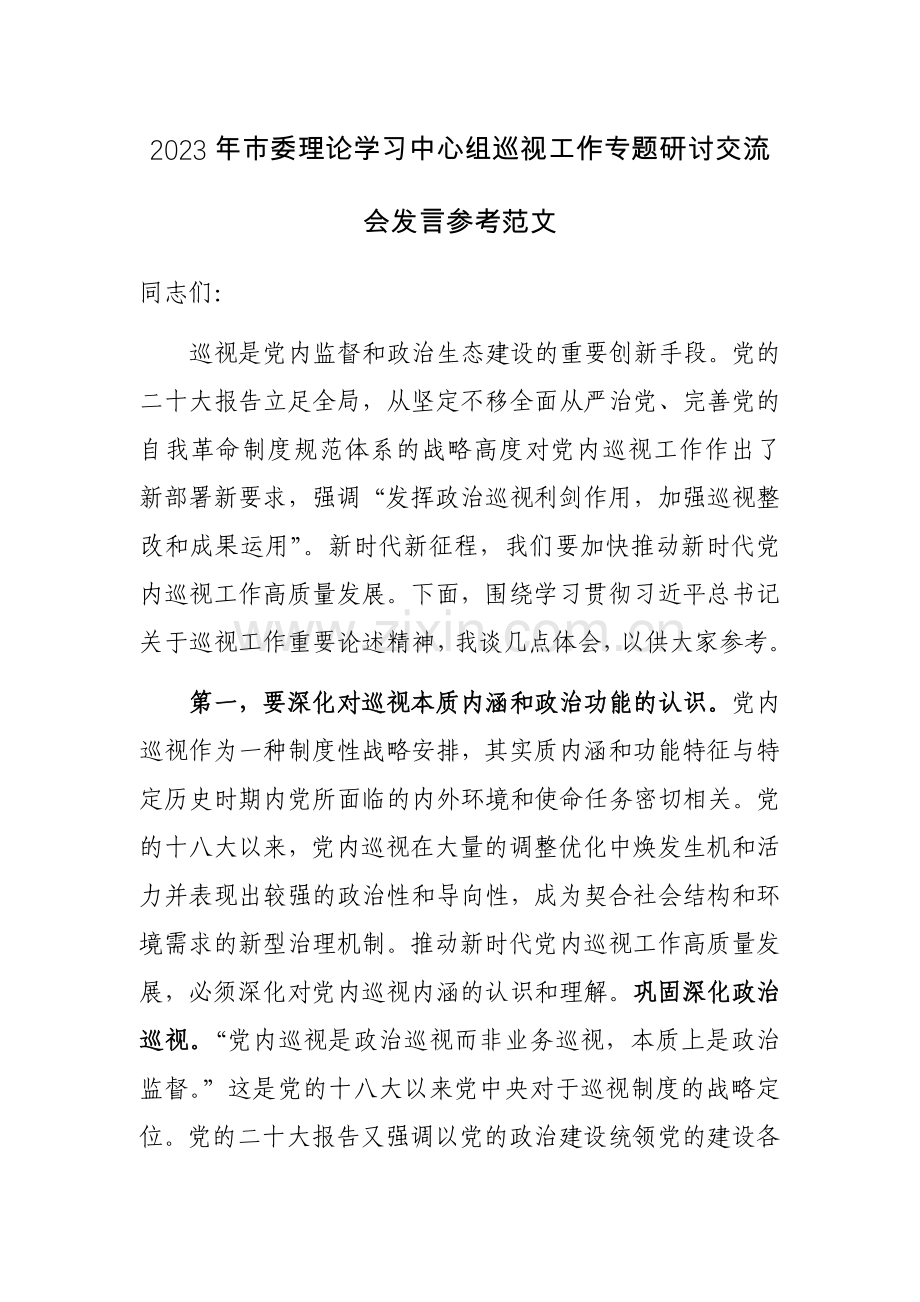 2023年市委理论学习中心组巡视工作专题研讨交流会发言参考范文.docx_第1页