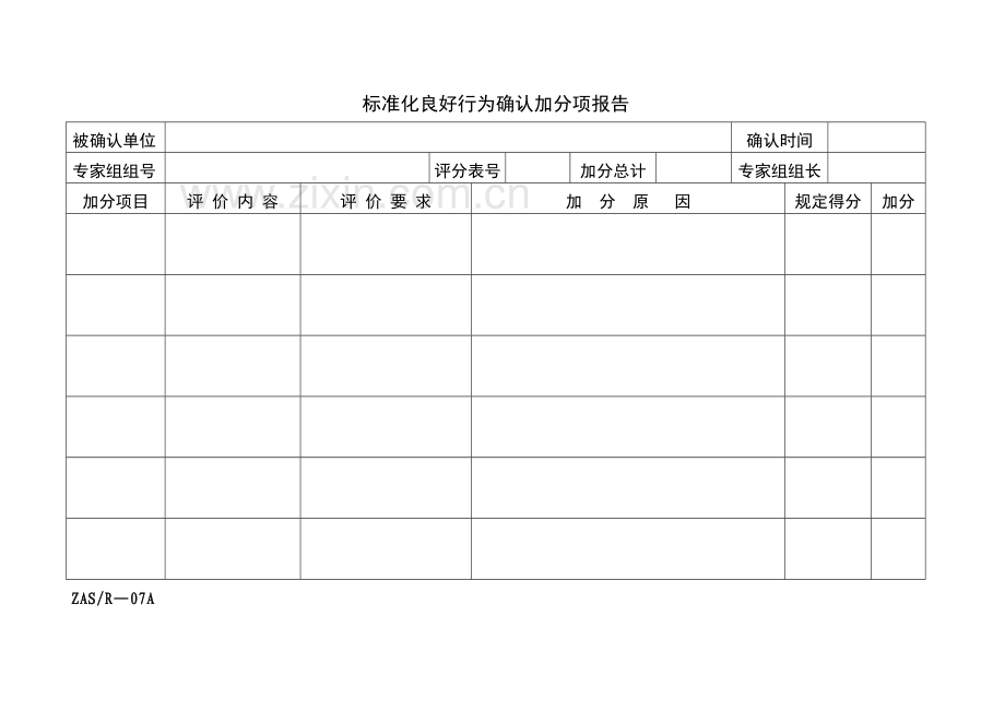 标准化良好行为确认不合格项报告.doc_第2页