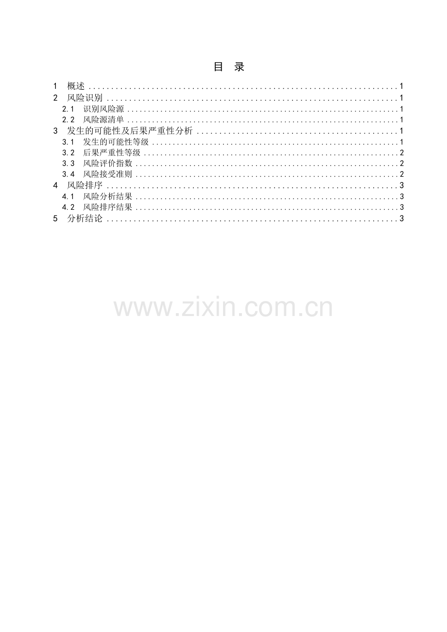 XXX风险分析报告.doc_第3页