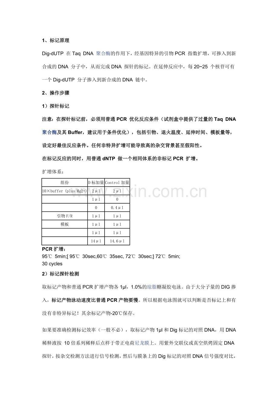 Southern-Blot-实验流程(包括原理细节).docx_第3页